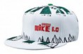 /album/nike-6-0/images-6-jpg1/
